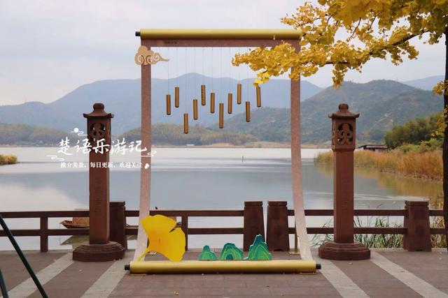 浙江宁波少有的水乡古镇，银杏大道与银杏林太美了，错过再等一年