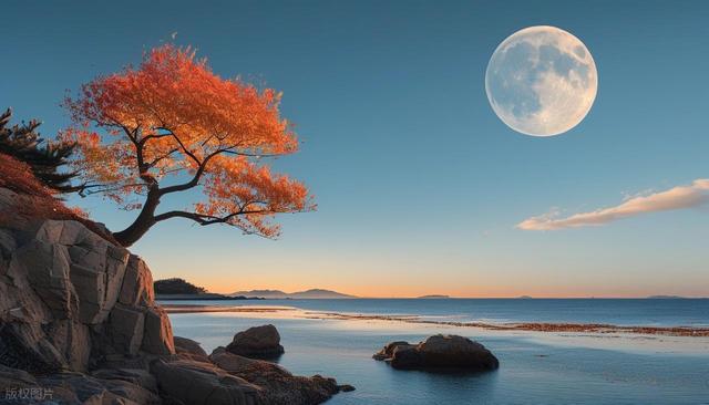 3天2夜玩转仙境烟台！山海盛宴+海鲜自由全攻略
