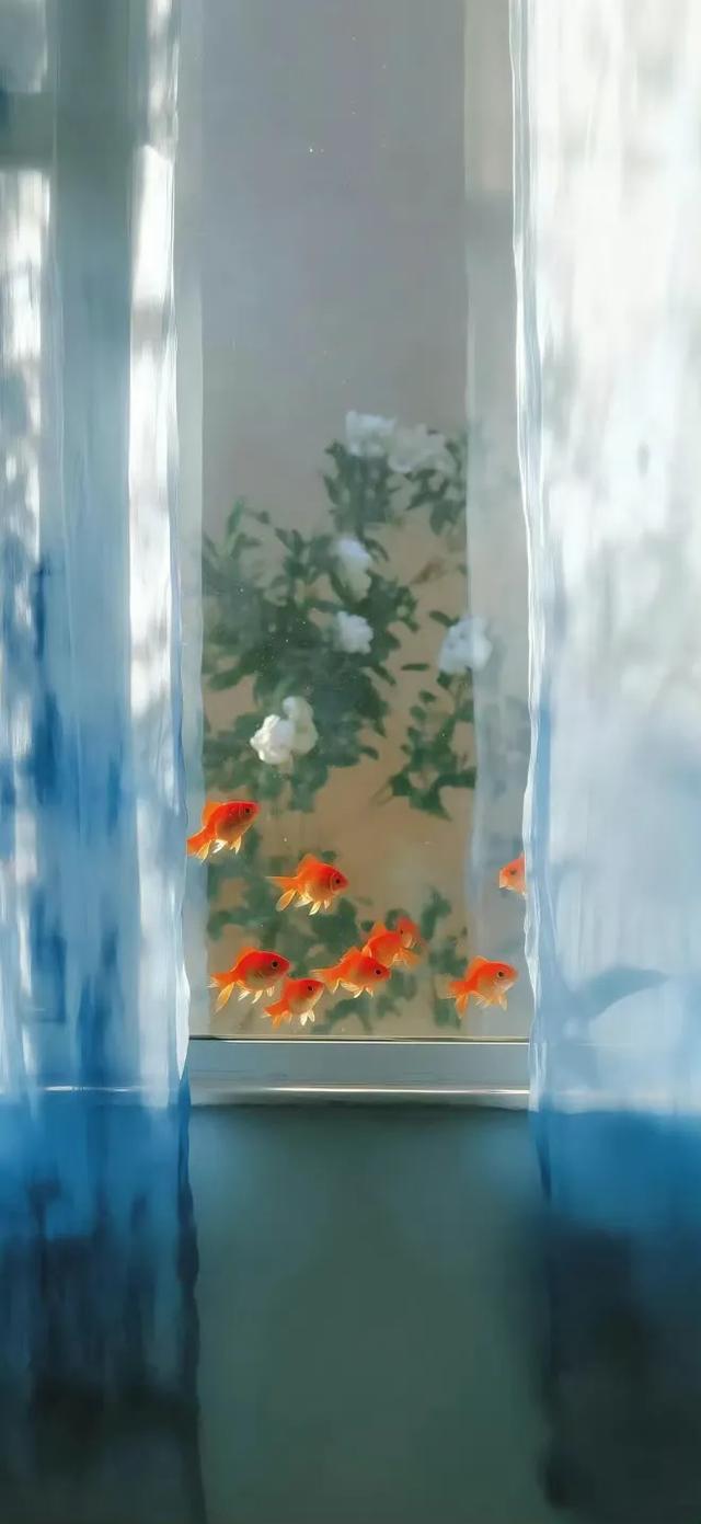 Share｜手机锁屏壁纸10.13