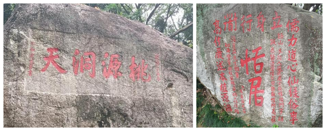 罗浮一览律途宽，登高望远业更勤