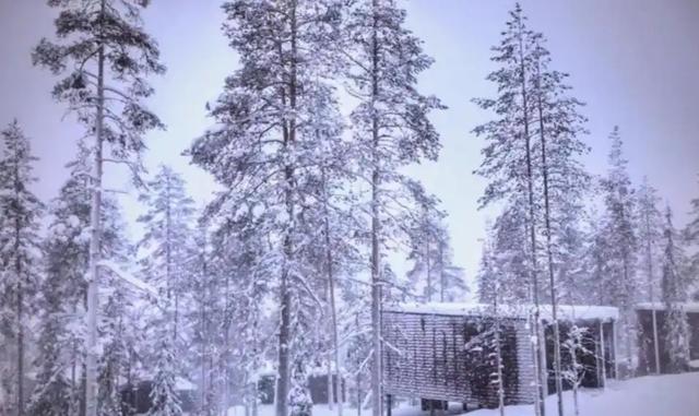 六岁遭遗弃，三十八丧夫，四十五获大奖：她的逆转人生疗愈万人