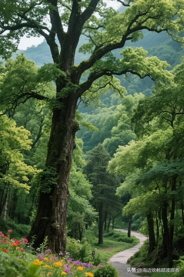 探秘湘南第一峰:东安大庙口，藏在舜皇山的仙境胜地！