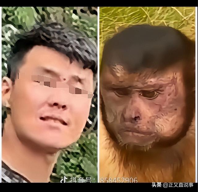你打猴我打你！小伙威胁景区大爷，身份曝光被骂惨，景区力挺大爷