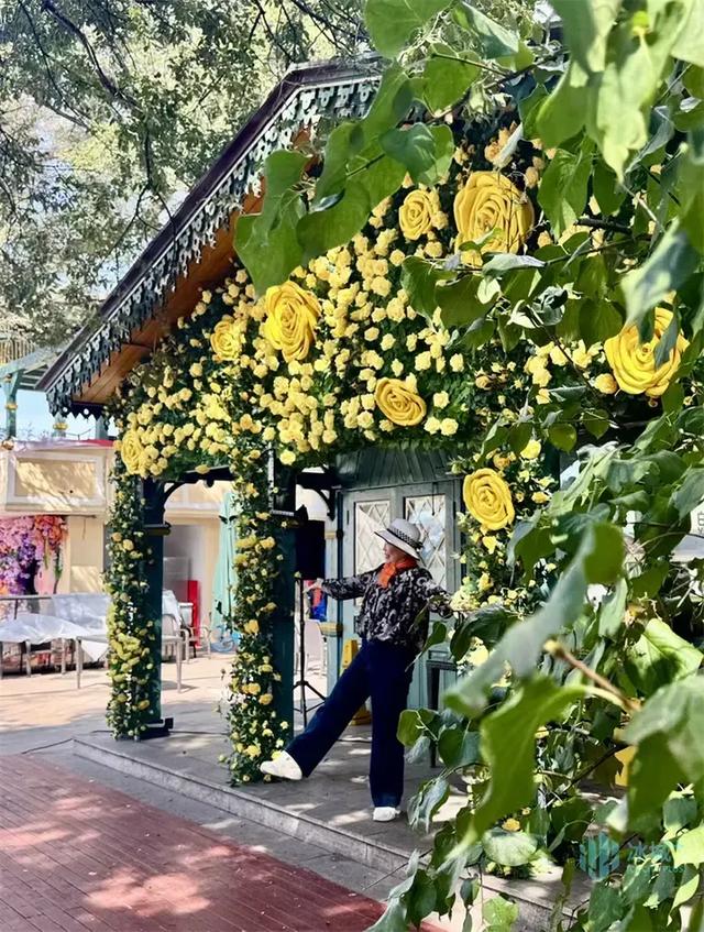 快来“捕捉”25℃的哈尔滨！百年江上俱乐部成爆款“出片胜地”