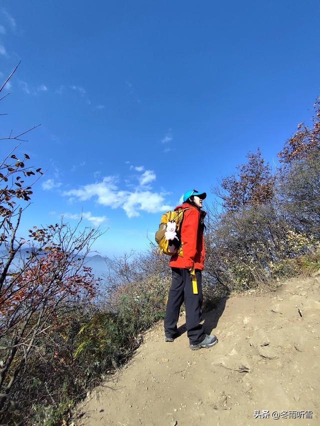 又见山山红叶飞