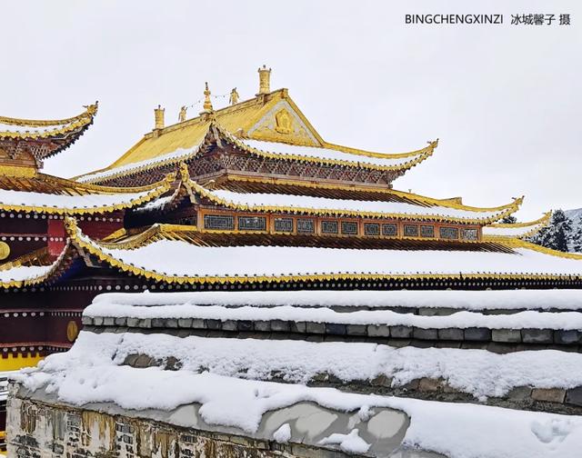 甘南-川西北之旅-6︱六月雪吻郎木寺