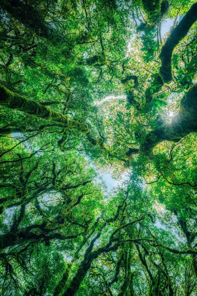 地理冷知识———春节9天假去哪旅游