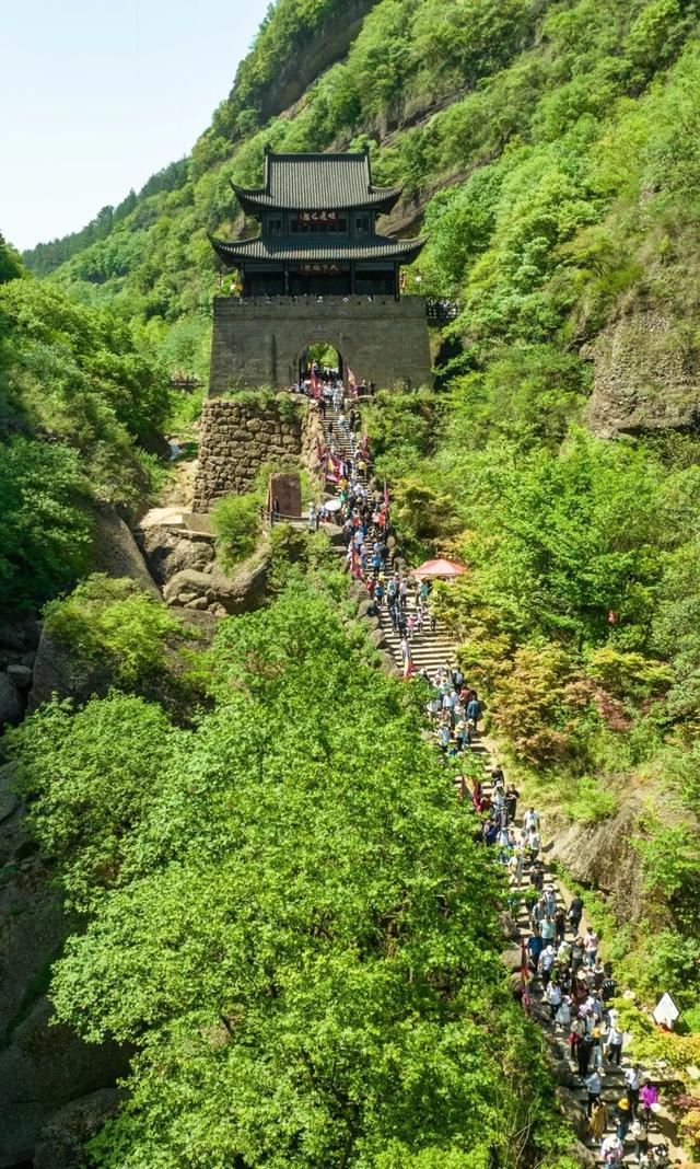 剑门关夏日壁纸上新！满屏生命力随手即拍~