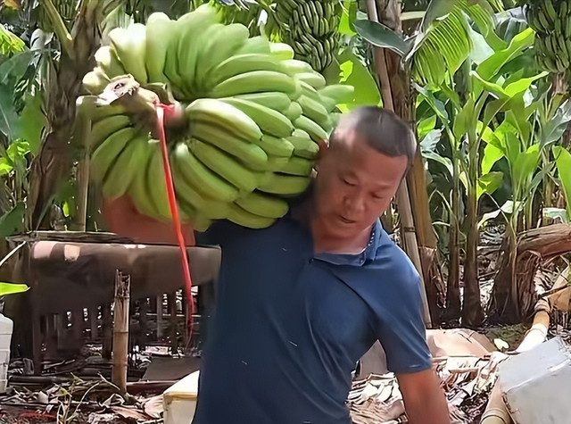 全红婵哥哥厨综被淘汰后狂怼评委，岳云鹏急忙找补，舆论一边倒