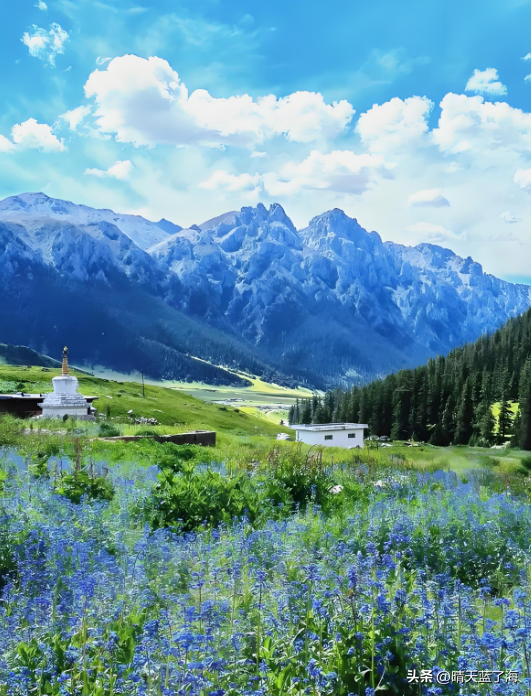 这是—8月最想去的格聂神山：花海漫野+日照金山，错过再等一年！