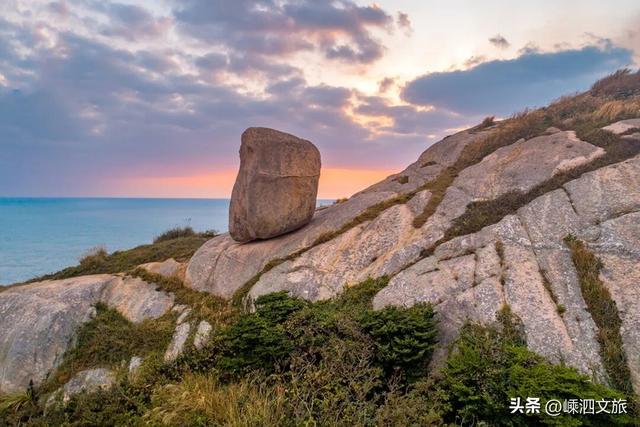 冬日寡淡？NO！看，花鸟岛的缤纷藏不住啦！