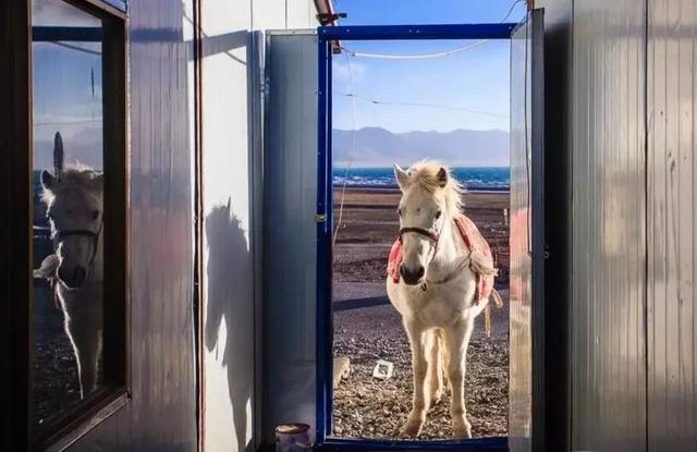 西藏天湖冬日变蓝宝石秘境，千里冰封宛如异星