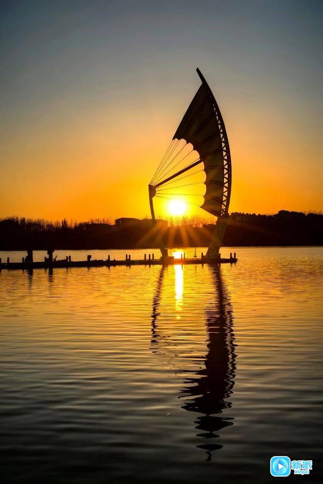 朝看芦苇夕望鸟，潍坊这里的冬日氛围感拉满！