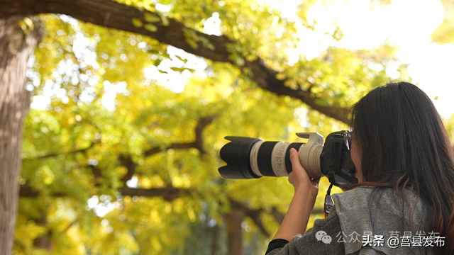 杏好遇见，刚刚好！