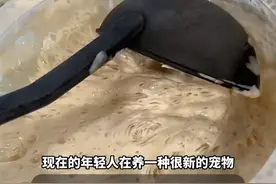 年轻人养“面蛊”成风：是猎奇狂欢，还是时代病症？图片