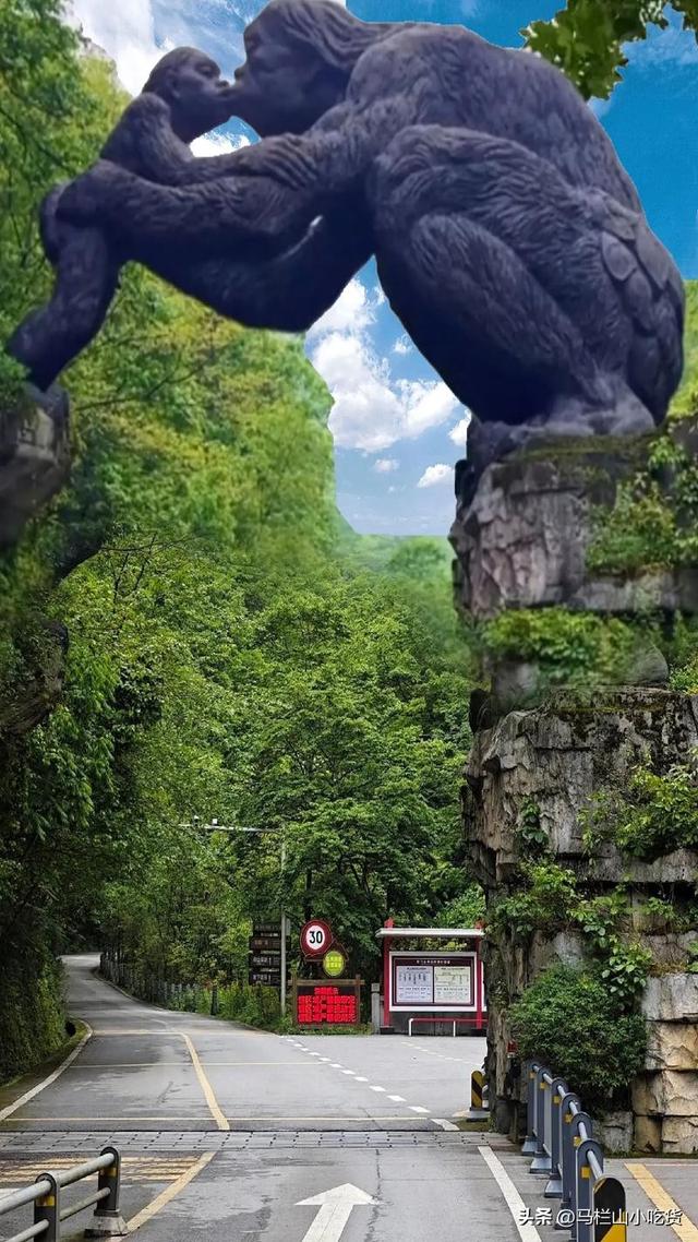 秋天旅游，湖北神农架旅游打卡攻略！