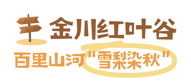 “捡”秋，本宫的眼睛想看彩林了！