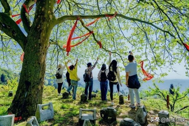 南宝山藏不住了！南宝山村糖会撞档羌历年，咖啡配羌舞，机器人都来跳沙朗