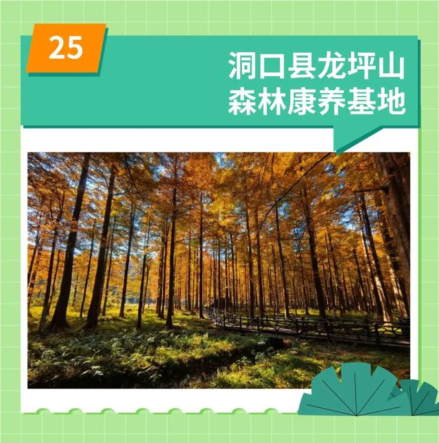 “湘超”球迷看过来！免票！半价！邵阳多景区‌发福利咯