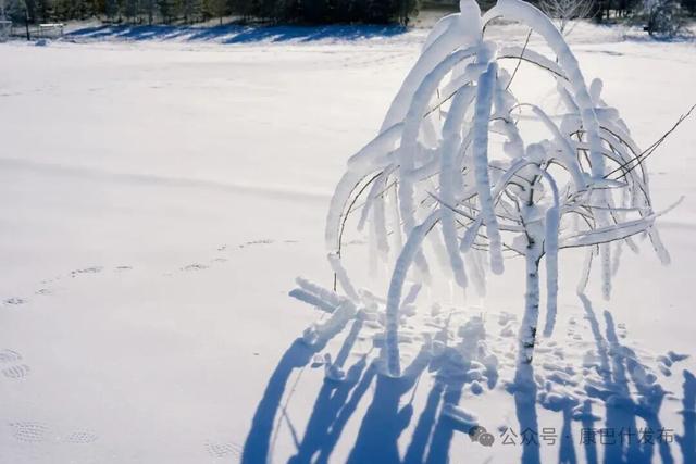 全力造雪！冰雪乐园月底开放！