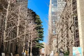 “我”真的存在吗？图片