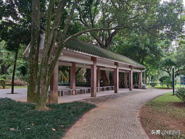 桦加沙到来前的北海之行，从中山公园开启