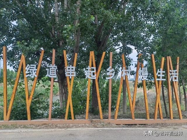 济宁城区北边有条森林绿道 文‖井明新
