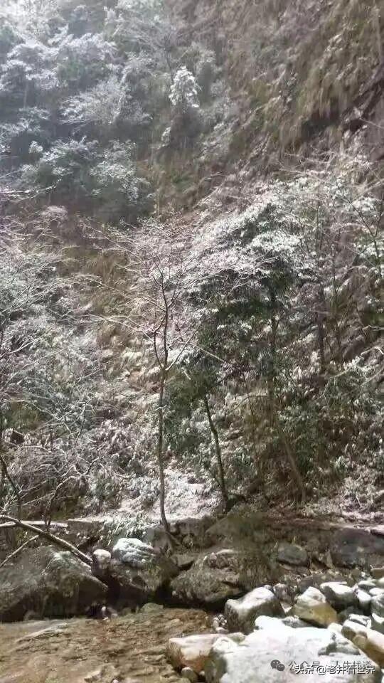 雨雪龙须禅寺 || 胡成江