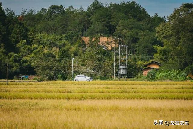 龙岩周末去哪儿｜秋的余温，藏在龙岩这些地方→