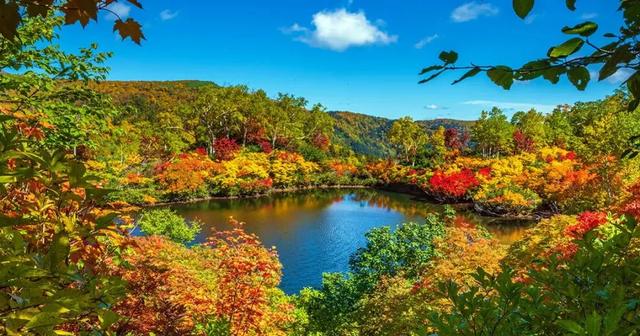 2025日本赏红叶攻略已出！附北海道、东北5大赏红叶景点~
