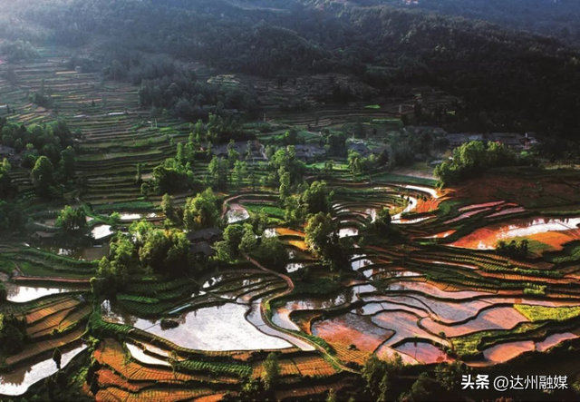 万源之秋：一场藏在山水间的诗意盛宴