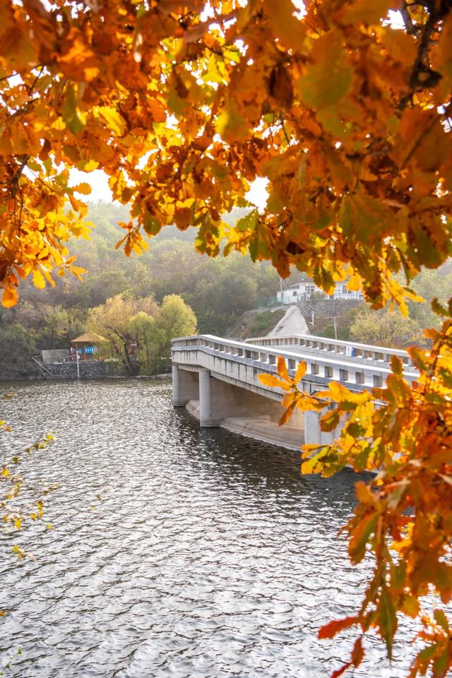收藏一个秋天,石景山绝美秋色大公开