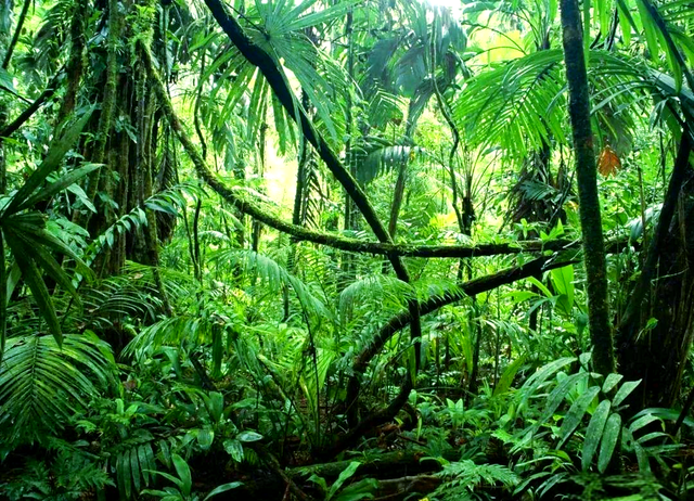 巴西对华免签在即，凭啥能稳居南美旅行首选之列？