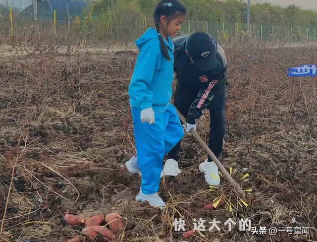 里子面子都丢了！森林北自曝体检结果，撕下了汪峰仅剩的"体面"