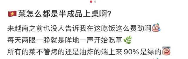 地理冷知识—越南的吸管