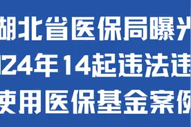 湖北省医保局曝光2024年14起违法违规使用医保基金案例图片