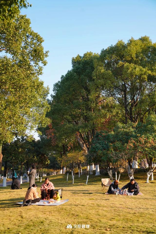 武汉城中心的彩叶秘境，在汉阳藏不住了！