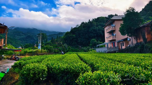 皖浙摩旅二人转——松阳杨家堂篇（下）