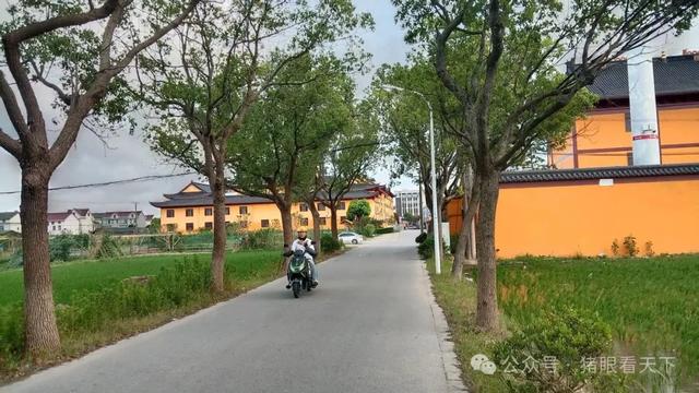 一次浦东乡村的深度二日游