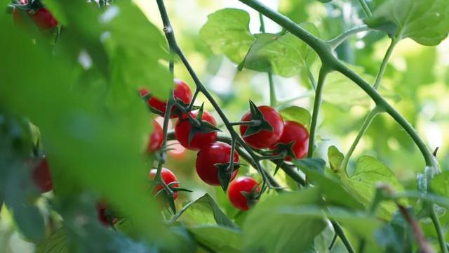 速来这里↑↑↑ 给“秋老虎”降降温