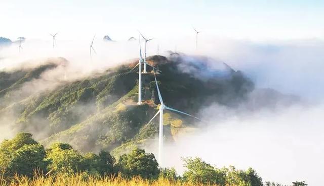 罗定市旅游擦亮历史文化名城金字招牌