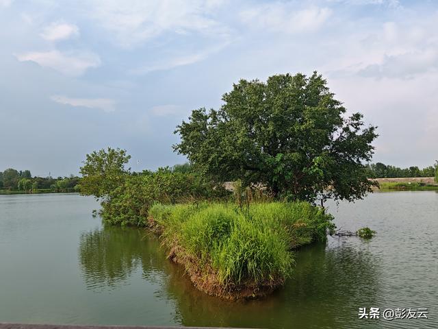 龟山湖遇雨