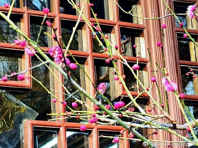 2025四季巡礼！100位寻美客邀你共绘最美泉城图鉴