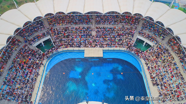 2025年度盘点（旅游篇）：新质生产力赋能全国滨海旅游目的地建设