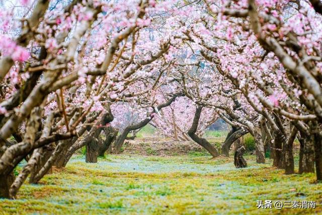渭南乡韵·千年一村 ③ | 遇仙村：一个藏着千年传说的“仙境”古村