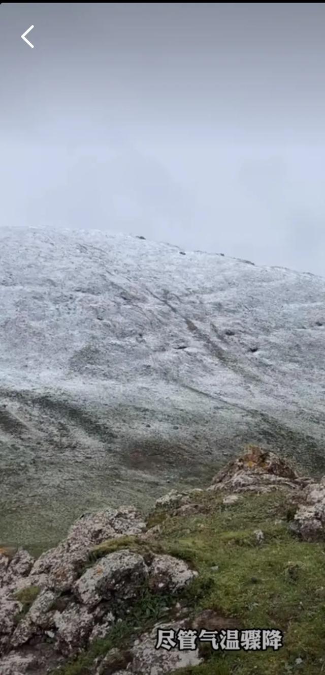 惊！青海祁连七月飘雪，盛夏秒变冰雪秘境
