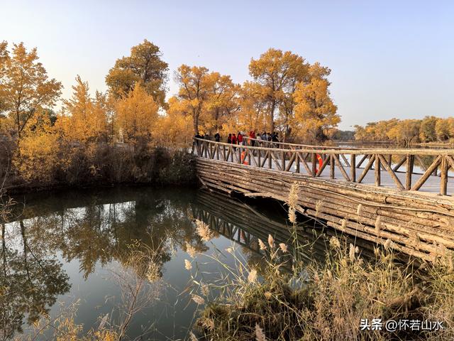 2025环南疆沙漠铁路背包自由行日记(6)---游览巴楚红海胡杨林景区