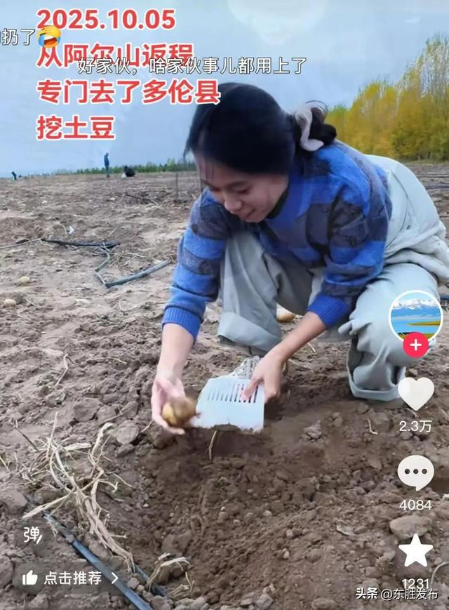 内蒙古土豆，“捡”的咋比买的还香？