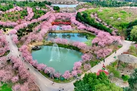 湖南独生子女父母奖励规定比较公平，具体是怎么规定的？图片