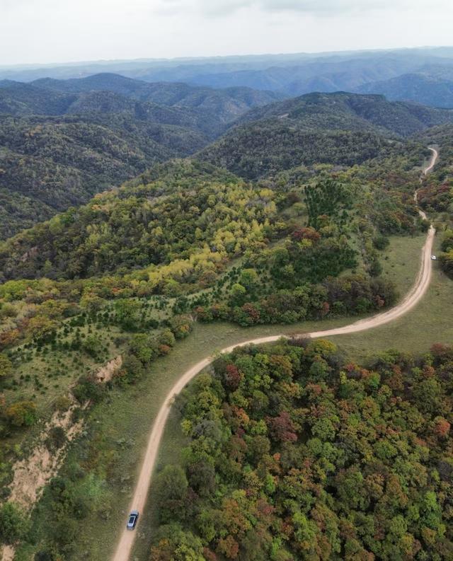 巍巍子午岭，幽幽秦直道